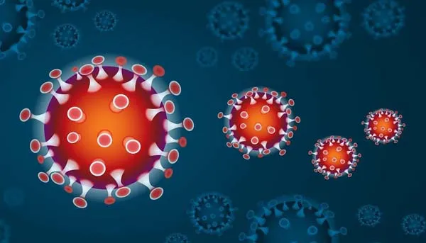 Corona virus infection
